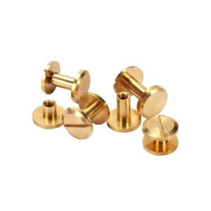 Brass Chicago Screws 20 set Rivets Bookbinding Flat Head Screwing Fasteners DIY Purse Collar Belt Shoes Case Jean Leather (Gold)